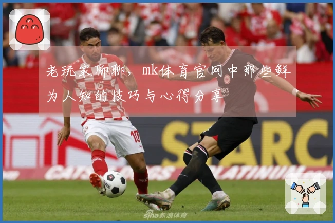 老玩家聊聊，mk体育官网中那些鲜为人知的技巧与心得分享